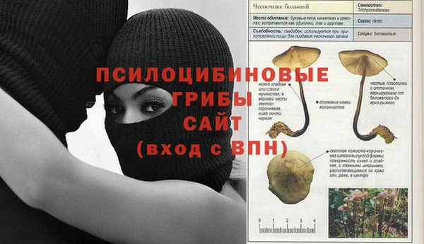 a pvp Новодвинск