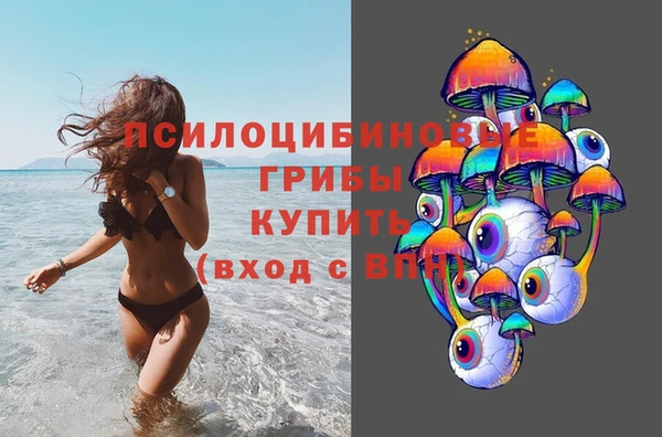 МДПВ Нефтегорск