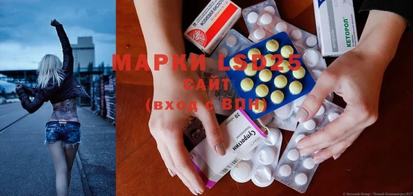 a pvp Новодвинск