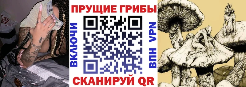 магазин  наркотиков  Тырныауз  Галлюциногенные грибы MAGIC MUSHROOMS 