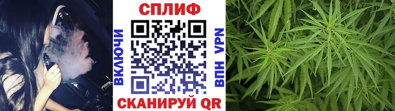 Бошки Шишки планчик  Тырныауз 